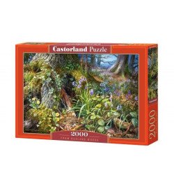Пазли Castorland 2000 ел. 